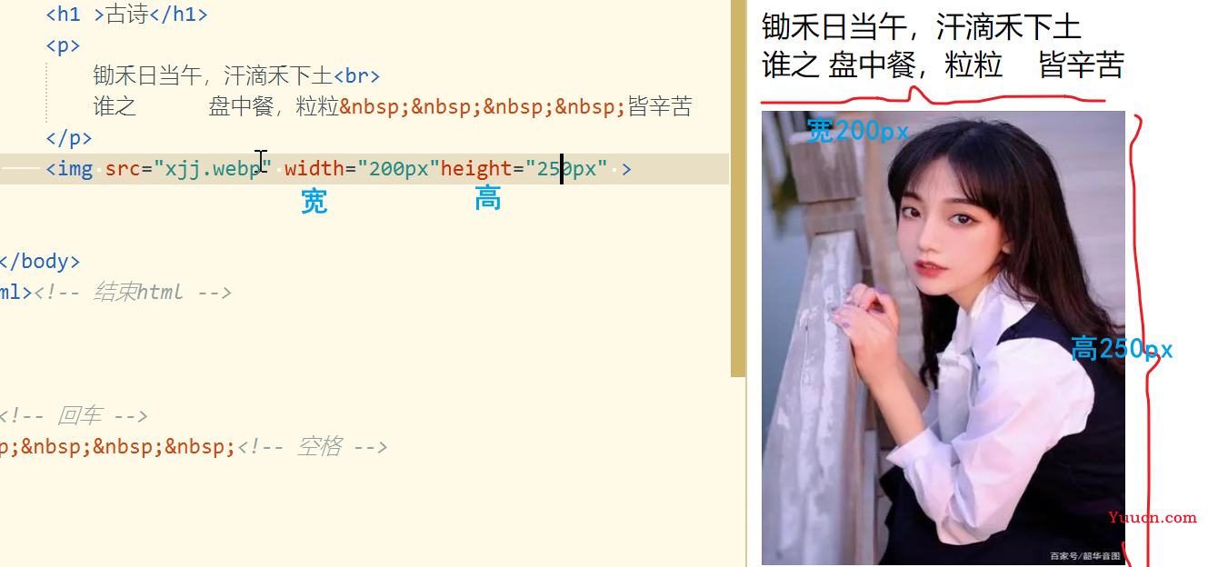 【中兴】web训练营~一文带你走进前端 | 百图制作