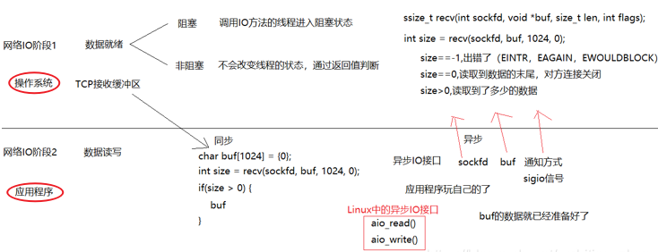 C++——WebServer服务器项目