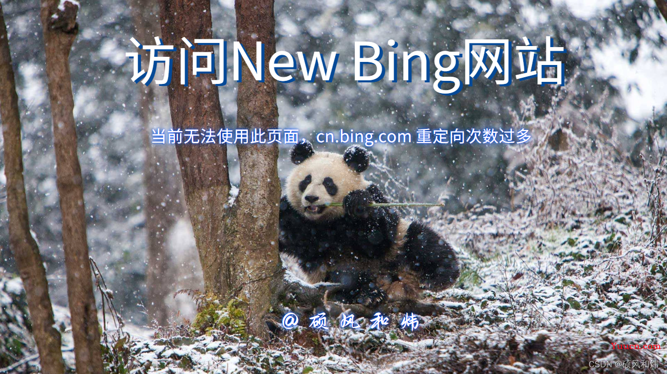 【申请加入New Bing遇到的问题:当前无法使用此页面，cn.bing.com 重定向次数过多】