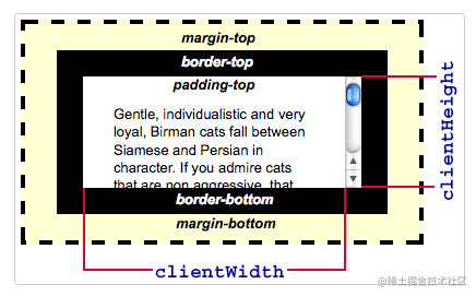 scrollTop、clientHeight、 scrollHeight...学完真的理解了