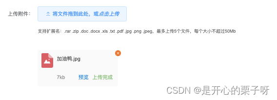 vue实战--vue+elementUI实现多文件上传+预览（word/PDF/图片/docx/doc/xlxs/txt）