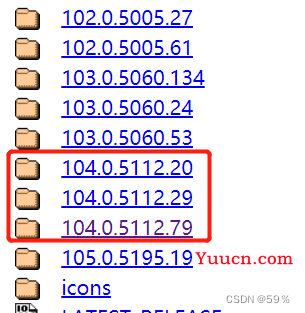 成功解决成功解决selenium.common.exceptions.WebDriverException: Message: unknown error: cannot find Chrome bi