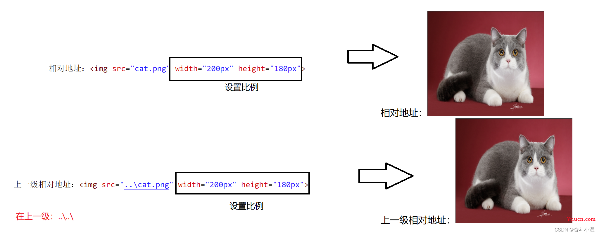 HTML【前端基础】