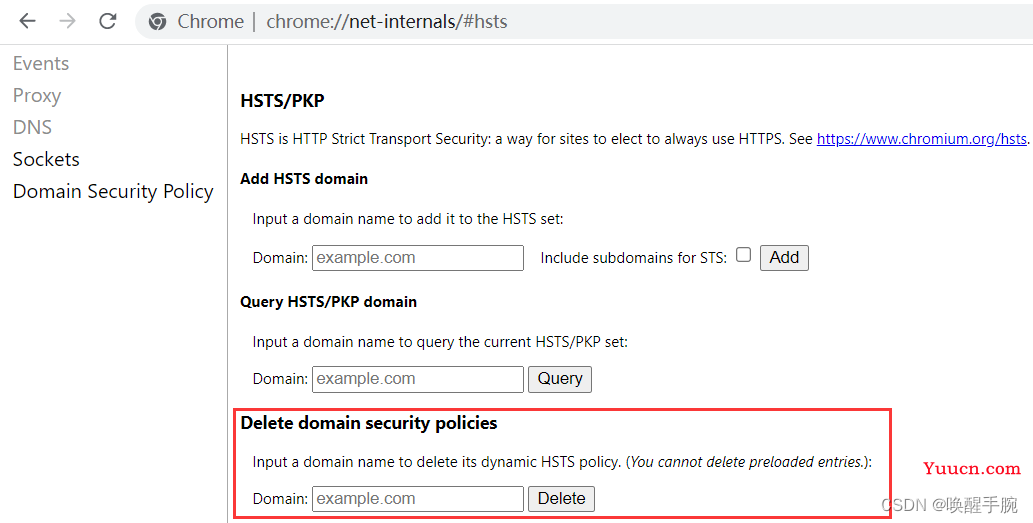 Chrome 浏览器获取网址映射 IP 地址 DNS 解析过程详细介绍