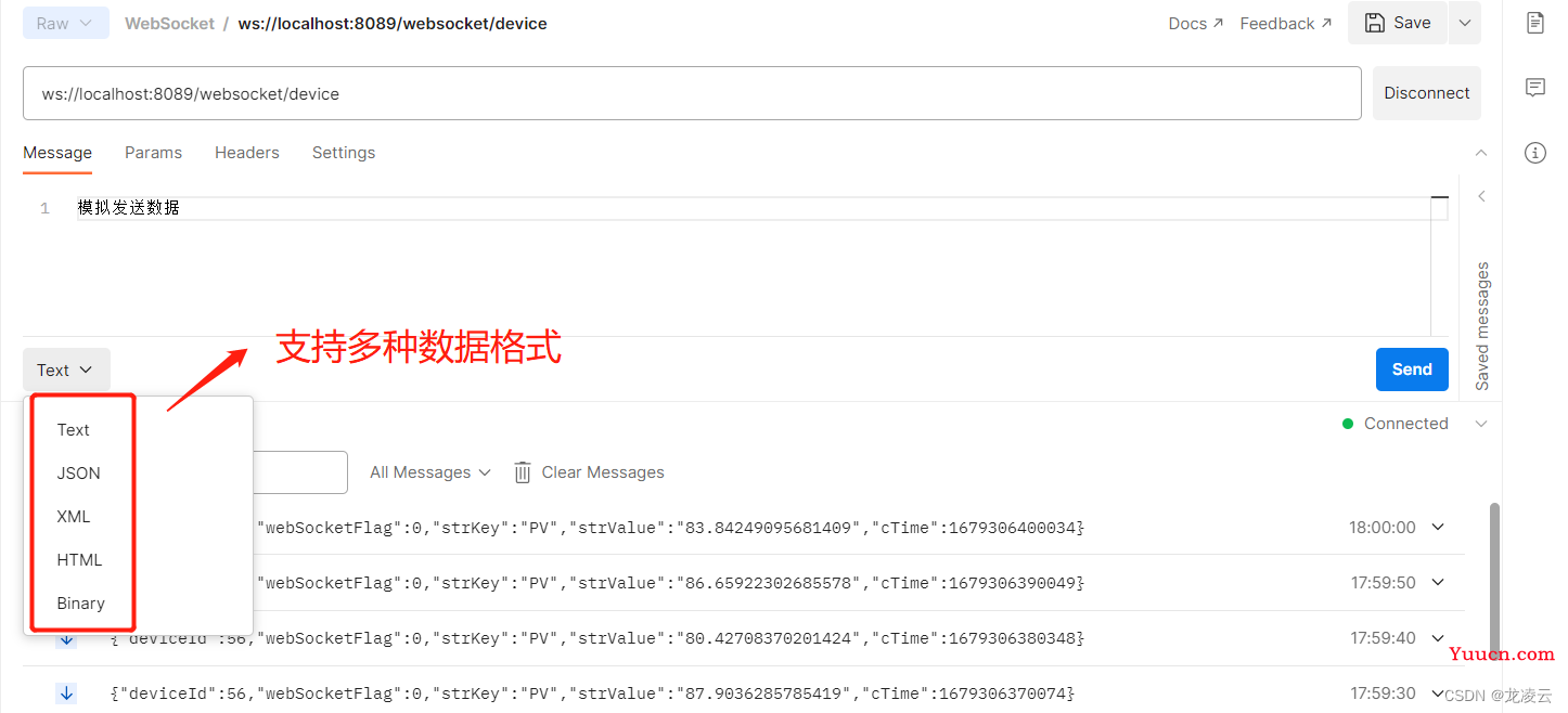 WebSocket 测试工具