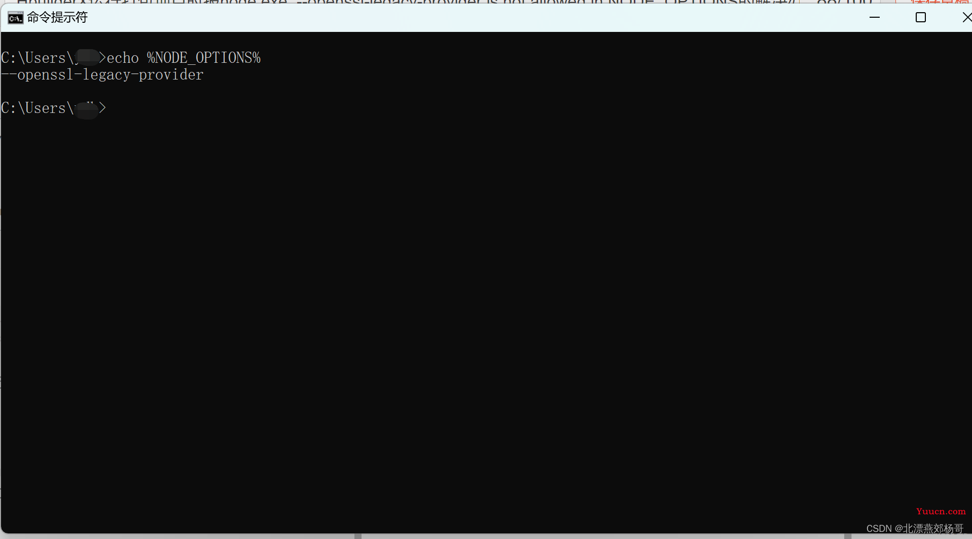 HbuilderX运行打包项目时报node.exe: --openssl-legacy-provider is not allowed in NODE_OPTIONS的解决办法