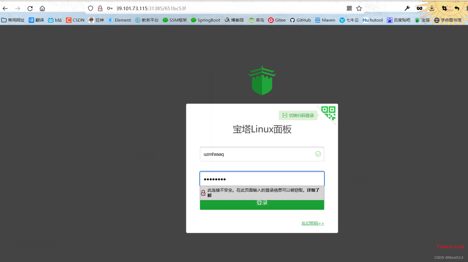 通过宝塔面板部署一个SpringBoot+Vue前后端分离项目的指南（三更）