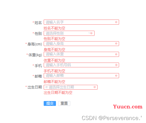 在Vue框架项目里通过Element Plus实现表单验证