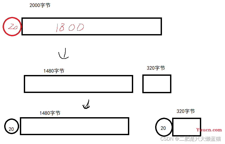 网络层：IP协议